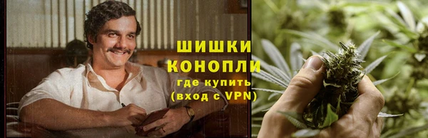 индика Балахна