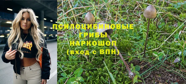 гашик Балабаново
