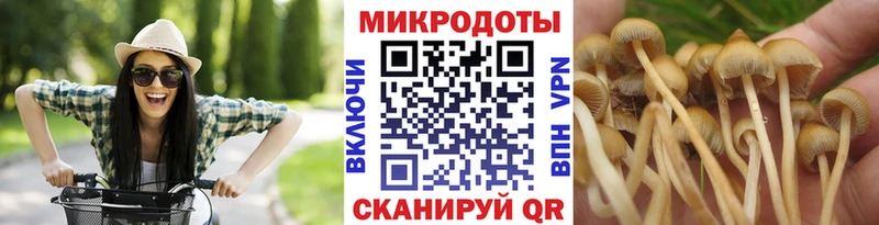 мега ССЫЛКА Вольск Галлюциногенные грибы Psilocybe