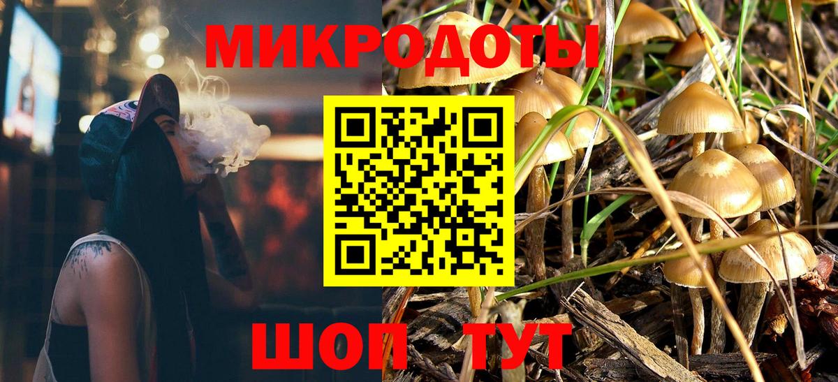 Псилоцибиновые грибы Psilocybine cubensis Вольск